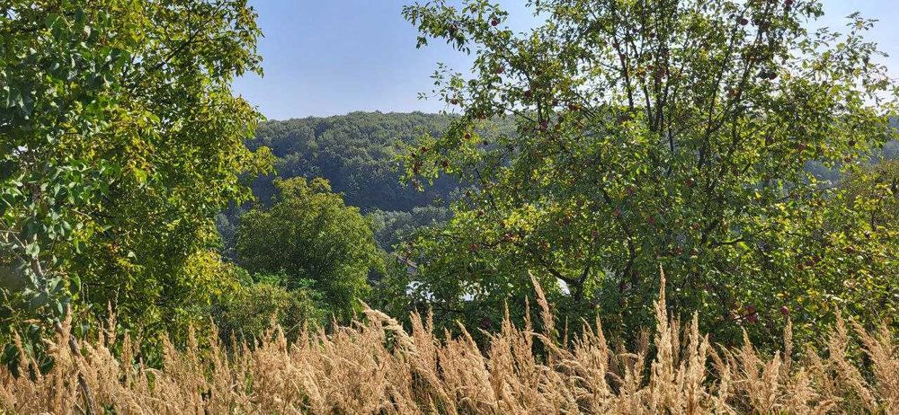 Продаж двох суміжних ділянок в Брюховичах, ліс, чудовий краєвид !