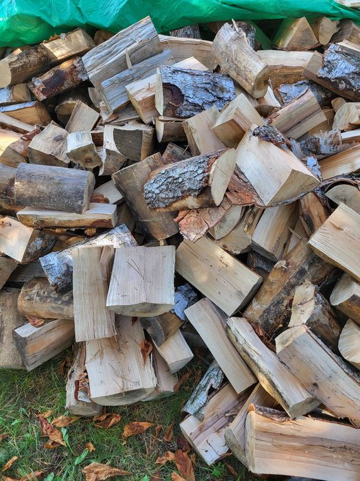 Drewno drzewo opałowe suche
