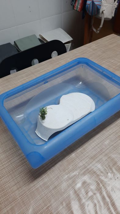 Terrário para tartarugas/cágados