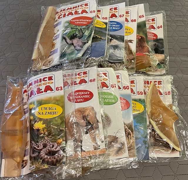 Tajemnice ludzkiego ciała , szkielet , model człowieka DeAgostini