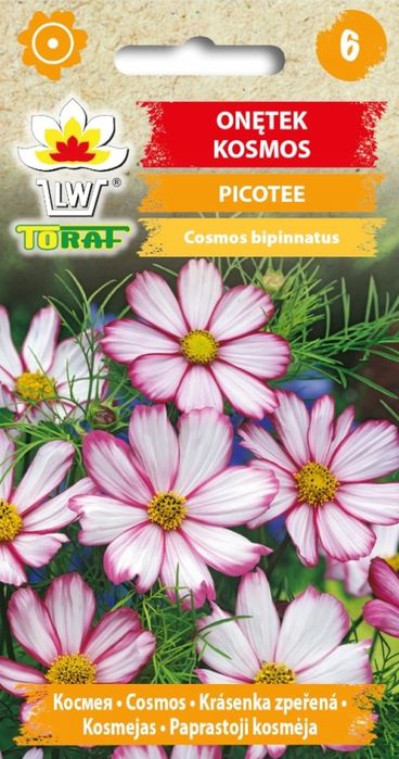 Onętek „Kosmos” PICOTEE (Cosmos Bipinnatus) nasiona 50 sztuk