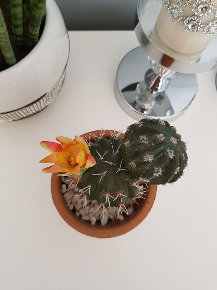 Kwiatek kaktus sztuczny