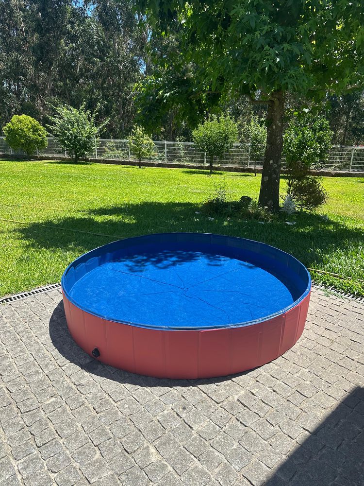 Piscina para cao