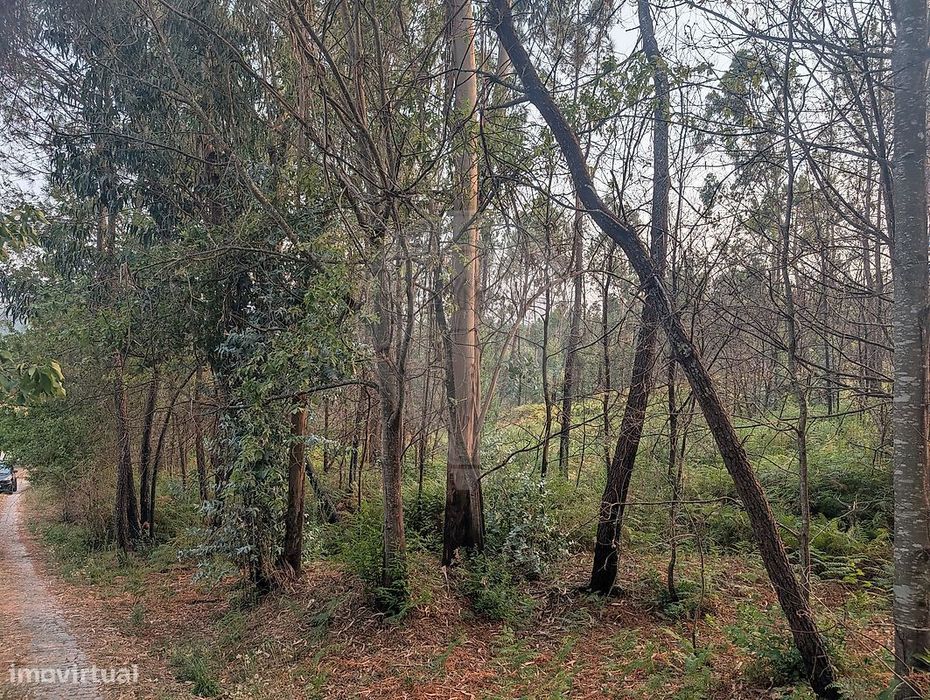 Terreno  para venda