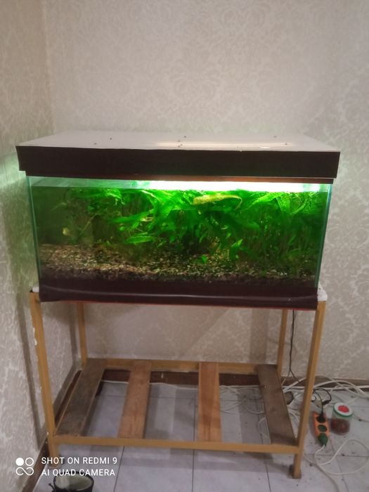 Аквариум со стойкой