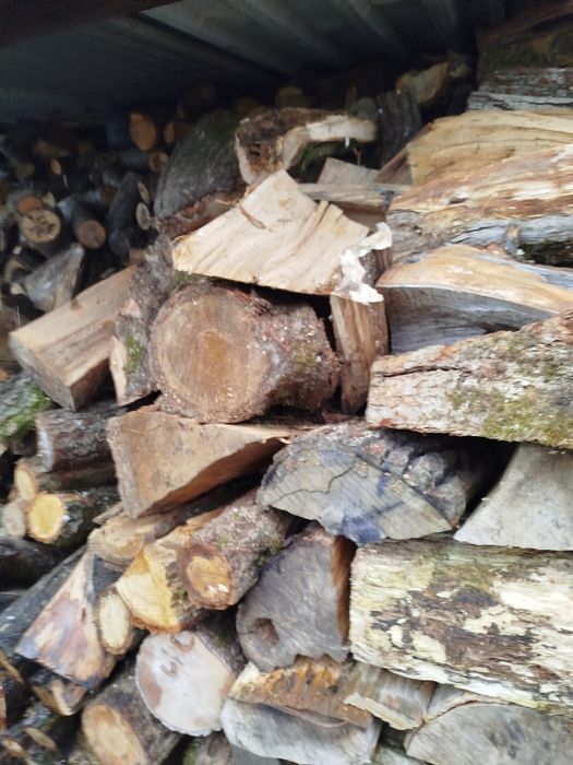 Drewno kominkowe mieszanka liściasta