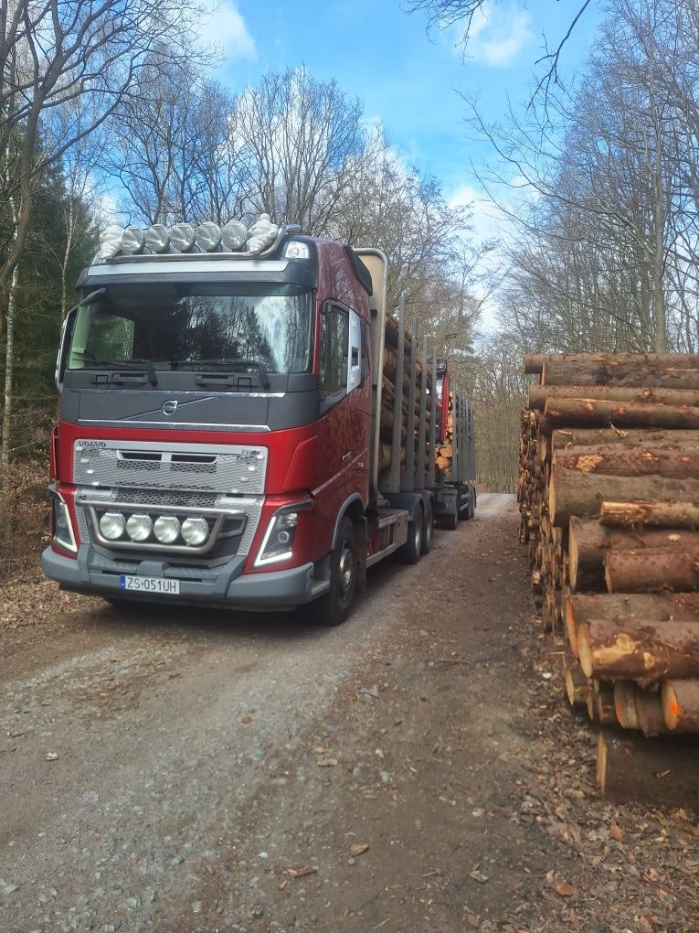 Volvo FH16 750 Loglift do drewna drzewa lasu 6x4