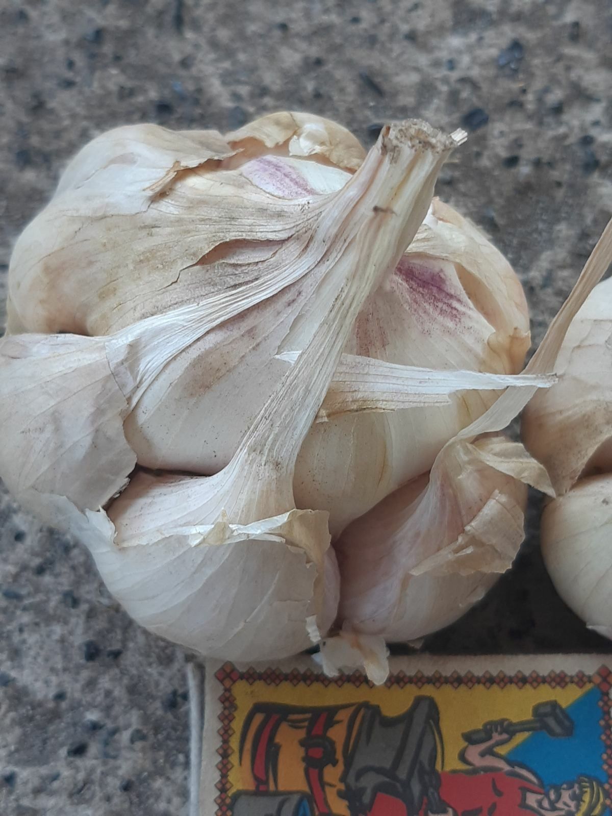 картопля, буряк фасоля