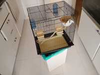 Vendo Gaiola grande