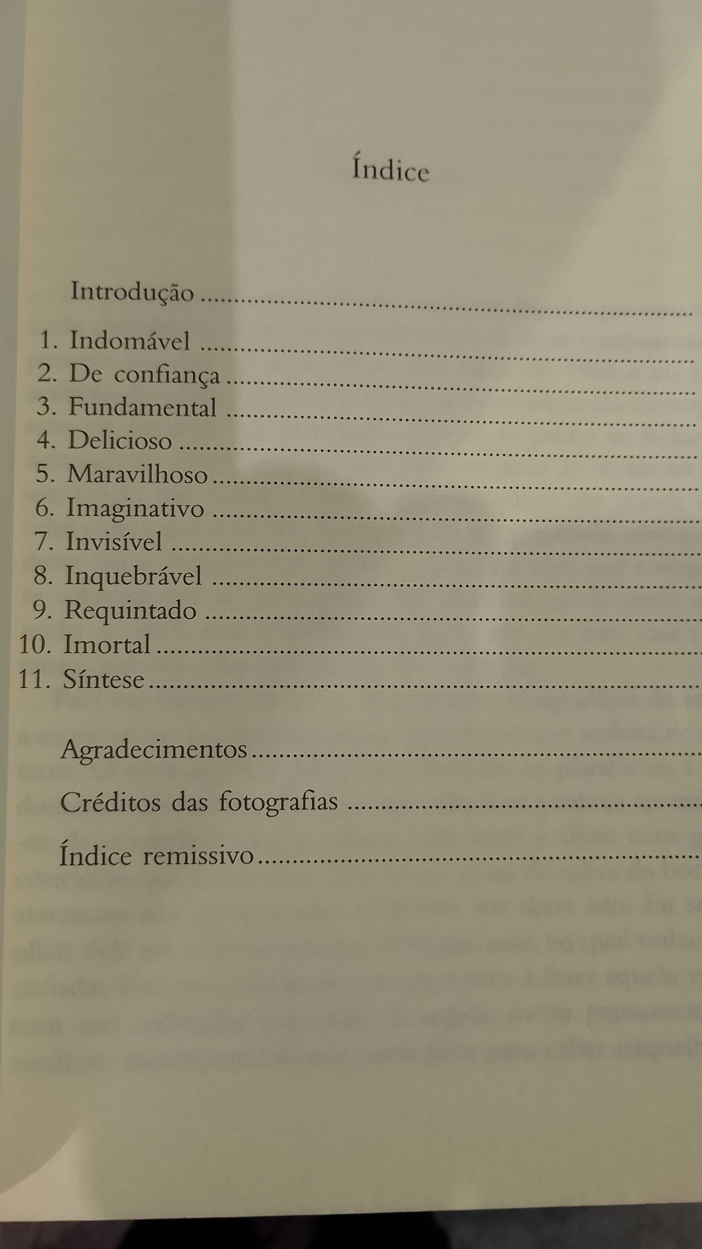A Vida Secreta dos Materiais - Mark Miodownik