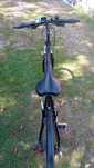rower  Lakes 29'