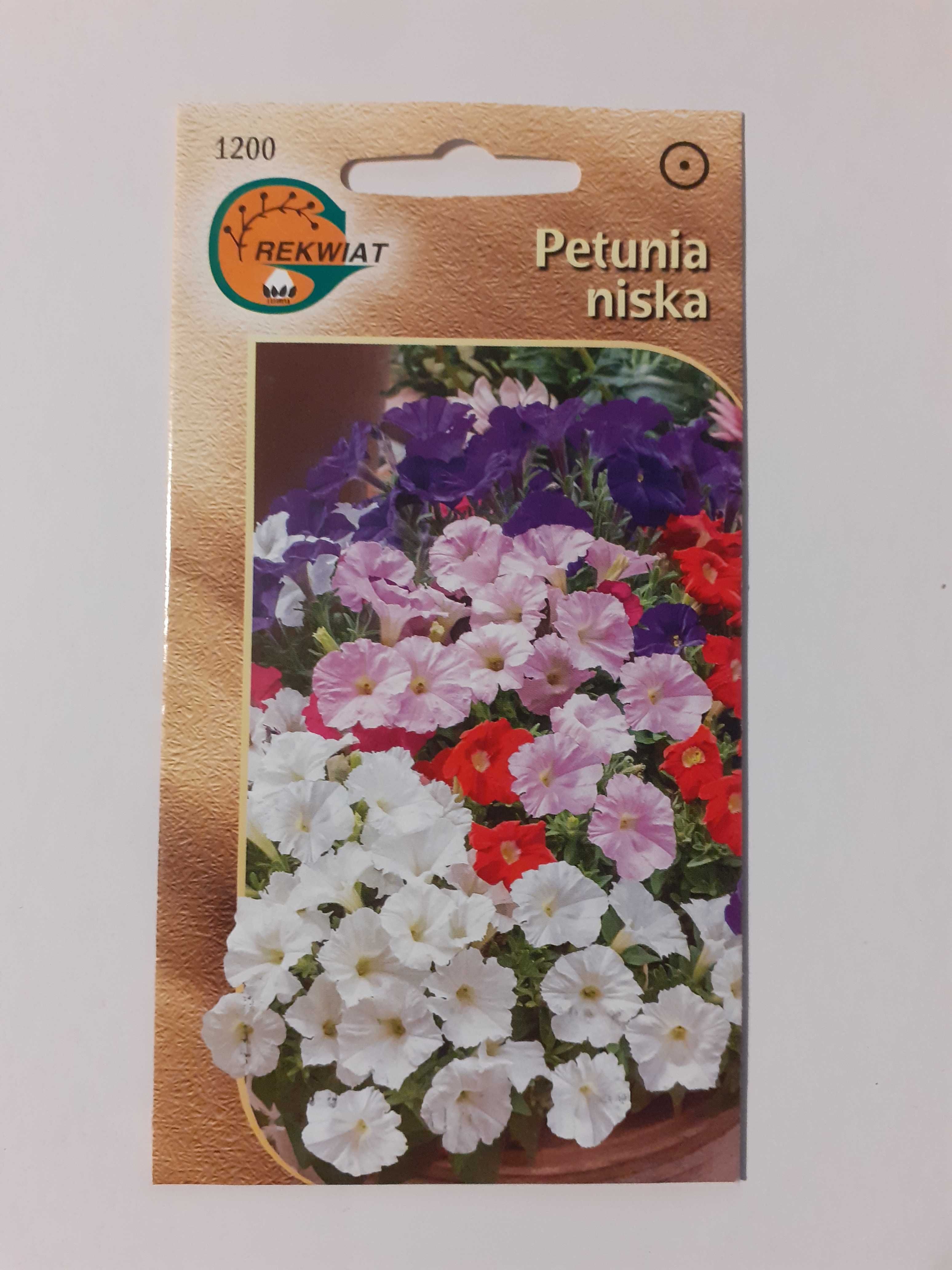 Nasiona petunie Hybrida nana 0,1 g