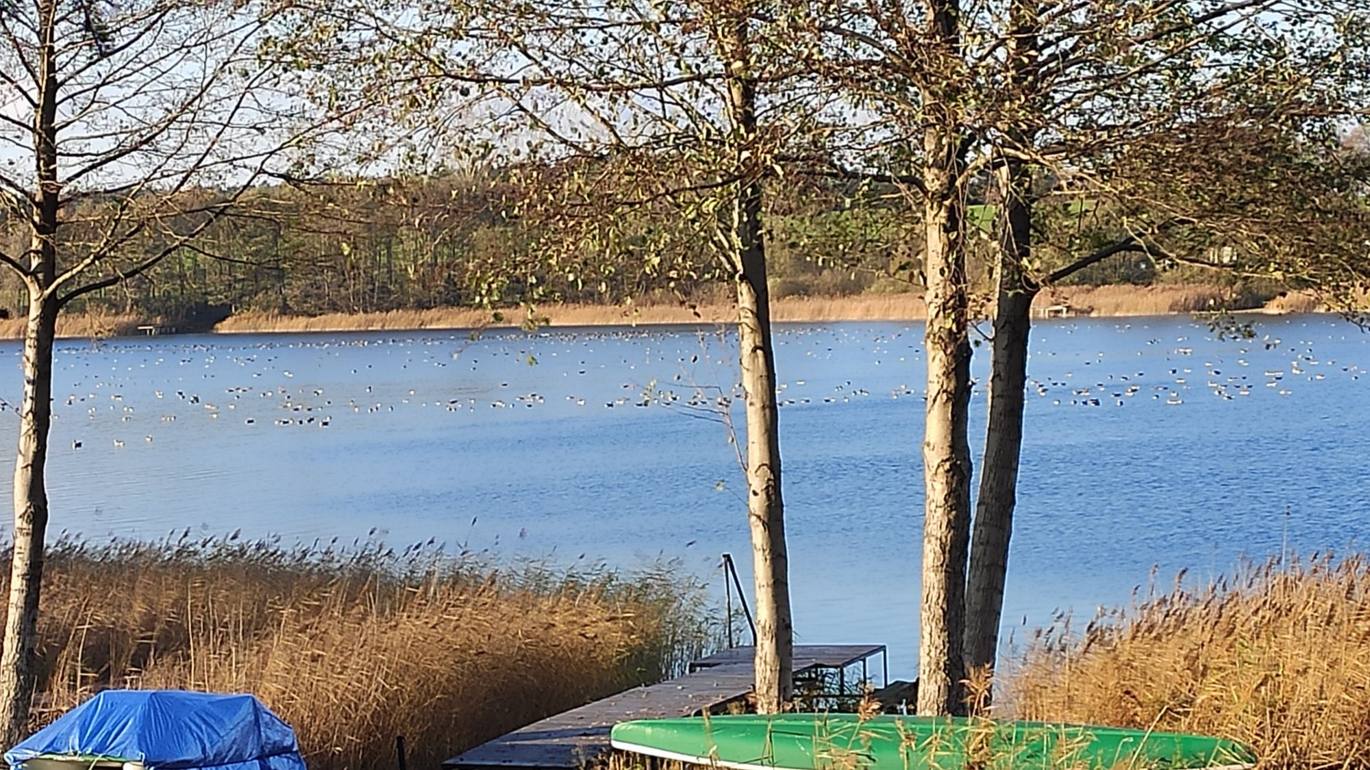 Domki nad jeziorem