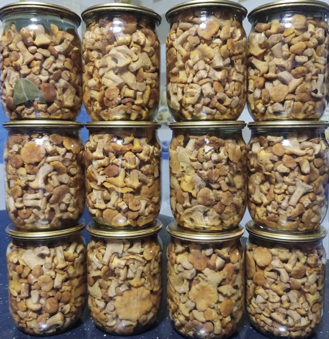 Мариновані грибочки, смачний маринад, широкий асортимент різних видів