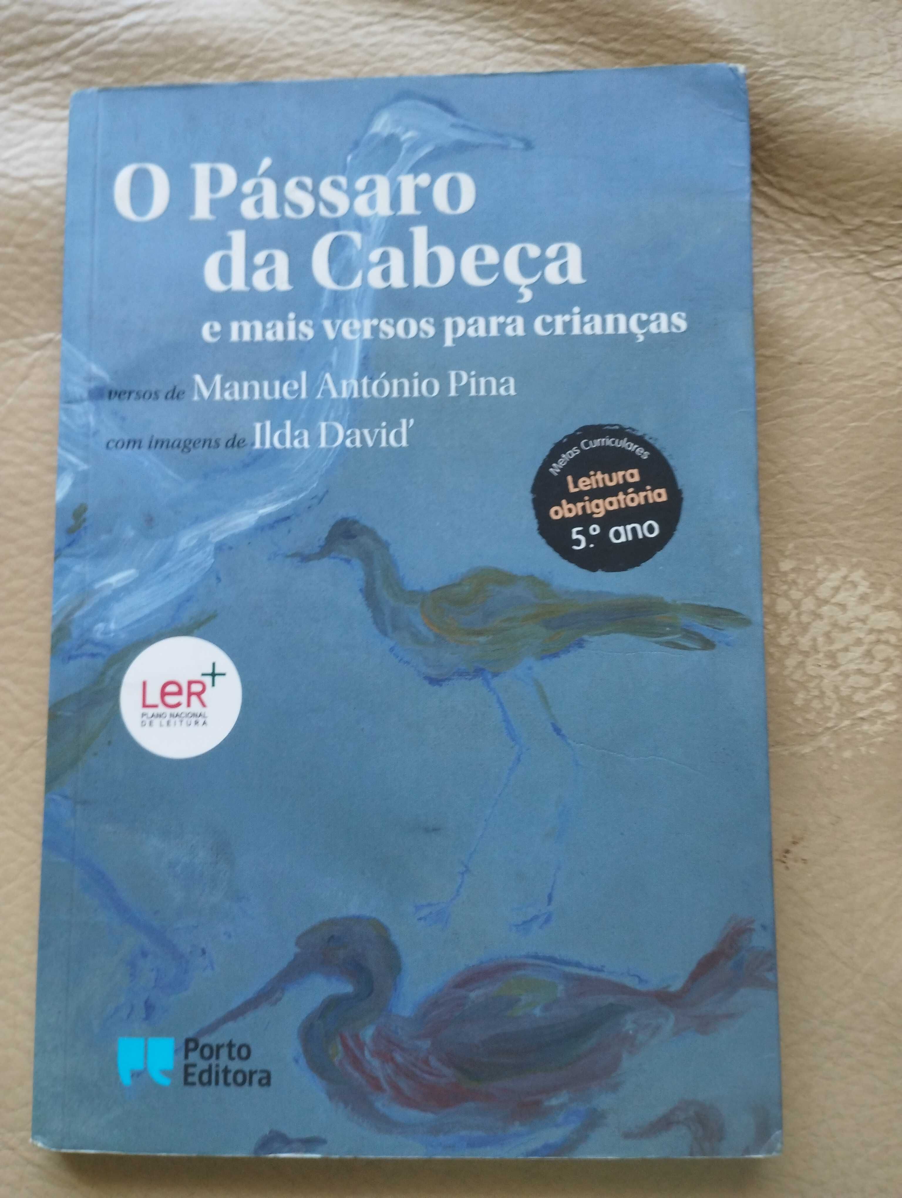 Livro O pássaro da cabeça e mais versos para crianças