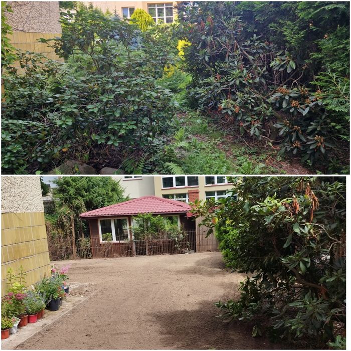 Porządkowanie ogrodów ROD Karczowanie Koszenie Wycinka Sianie Wywóz