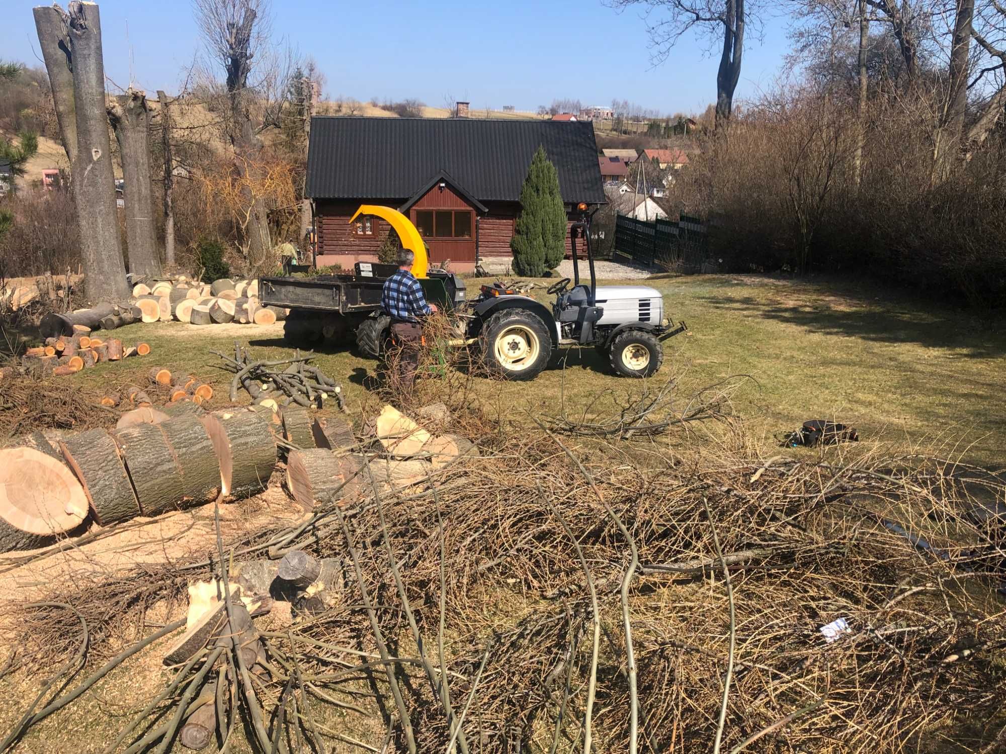 Wycinka alpinistyczna, usuwanie powalonych drzew, arborysta