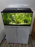 Akwarium 112 l aquael