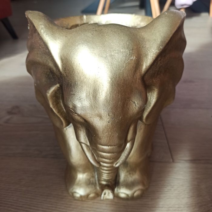 donica ozdobna słoń