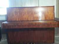 Pianino Nocturno