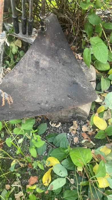 Картоплекопалка кінна