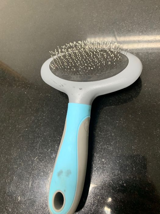 Escova para cão e brinquedo