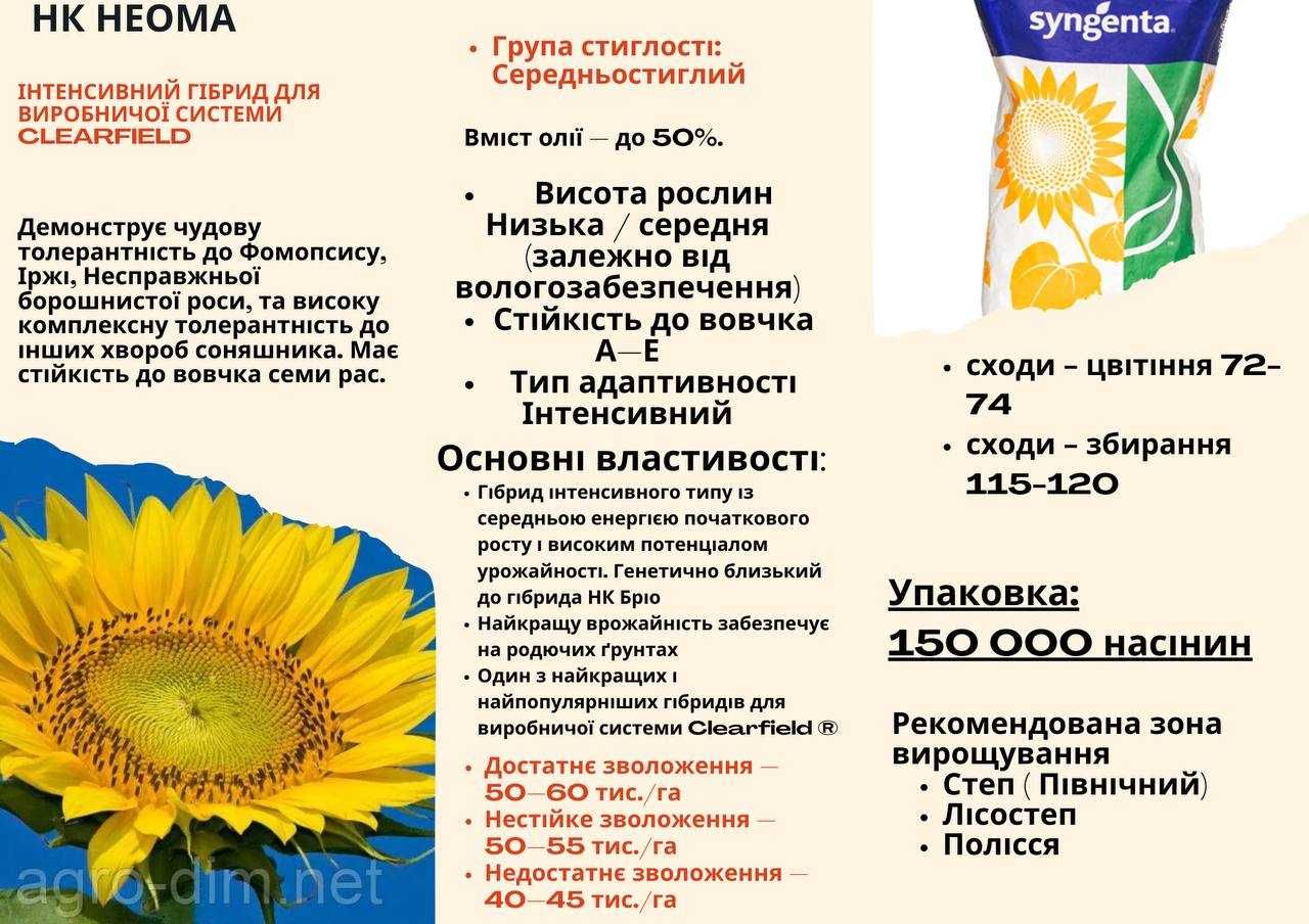 Насіння соняшнику офіційні дистиб'ютори Canada Seeds