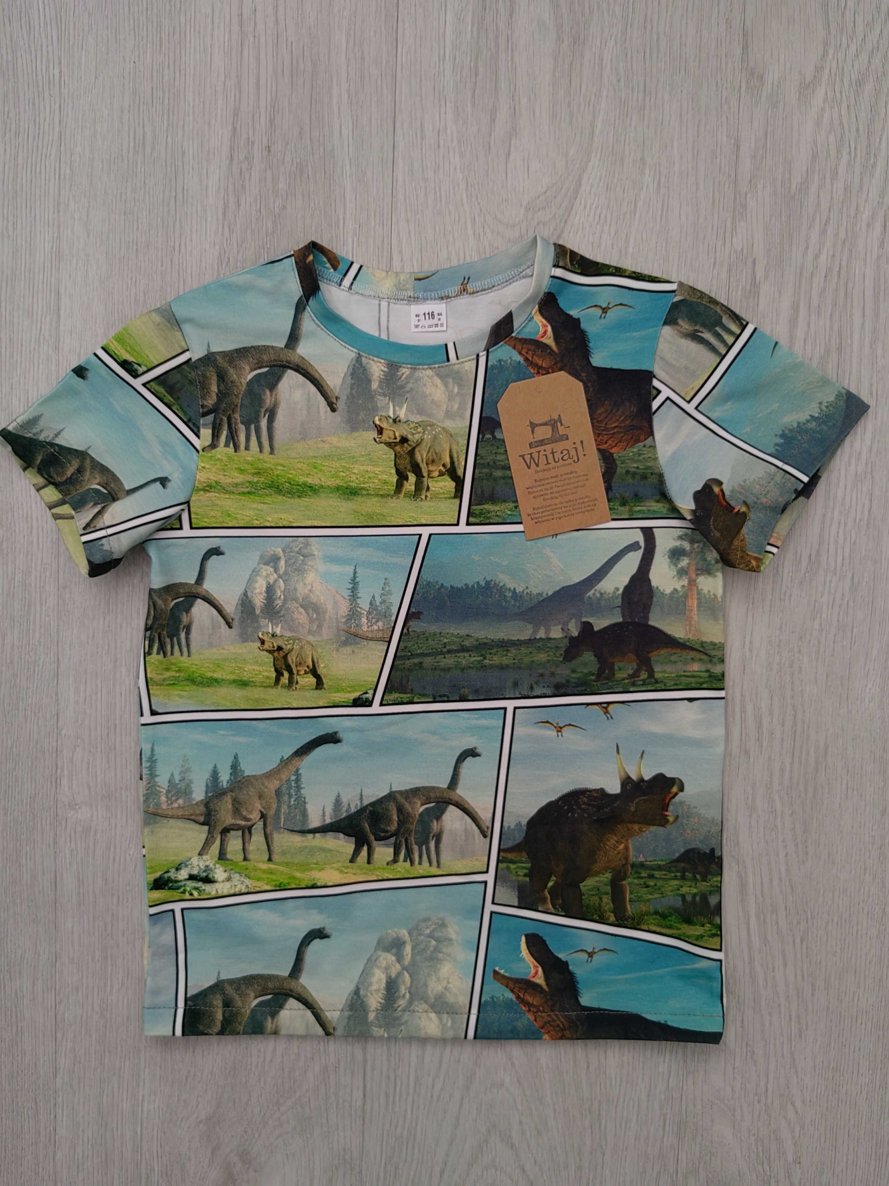 Tshirt bluzka z krótkim rękawem koszulka dinozaury rozm 116