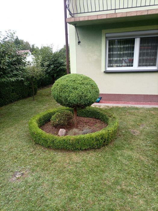 Pielęgnacja ogrodów