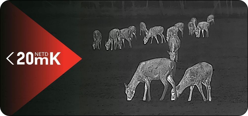 Kamera Termowizyjna Monokular Termowizor Hikmicro LYNX PRO LH25 2.0 V2