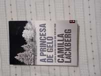 Livro- A princesa de gelo