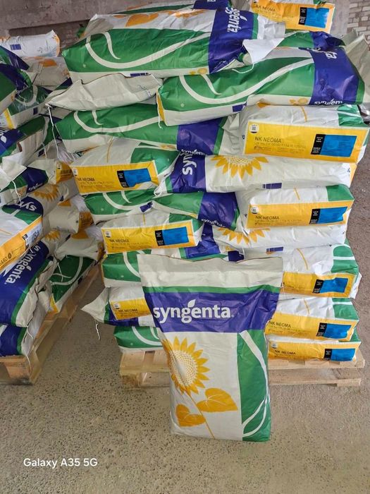 Соняшник нк конди