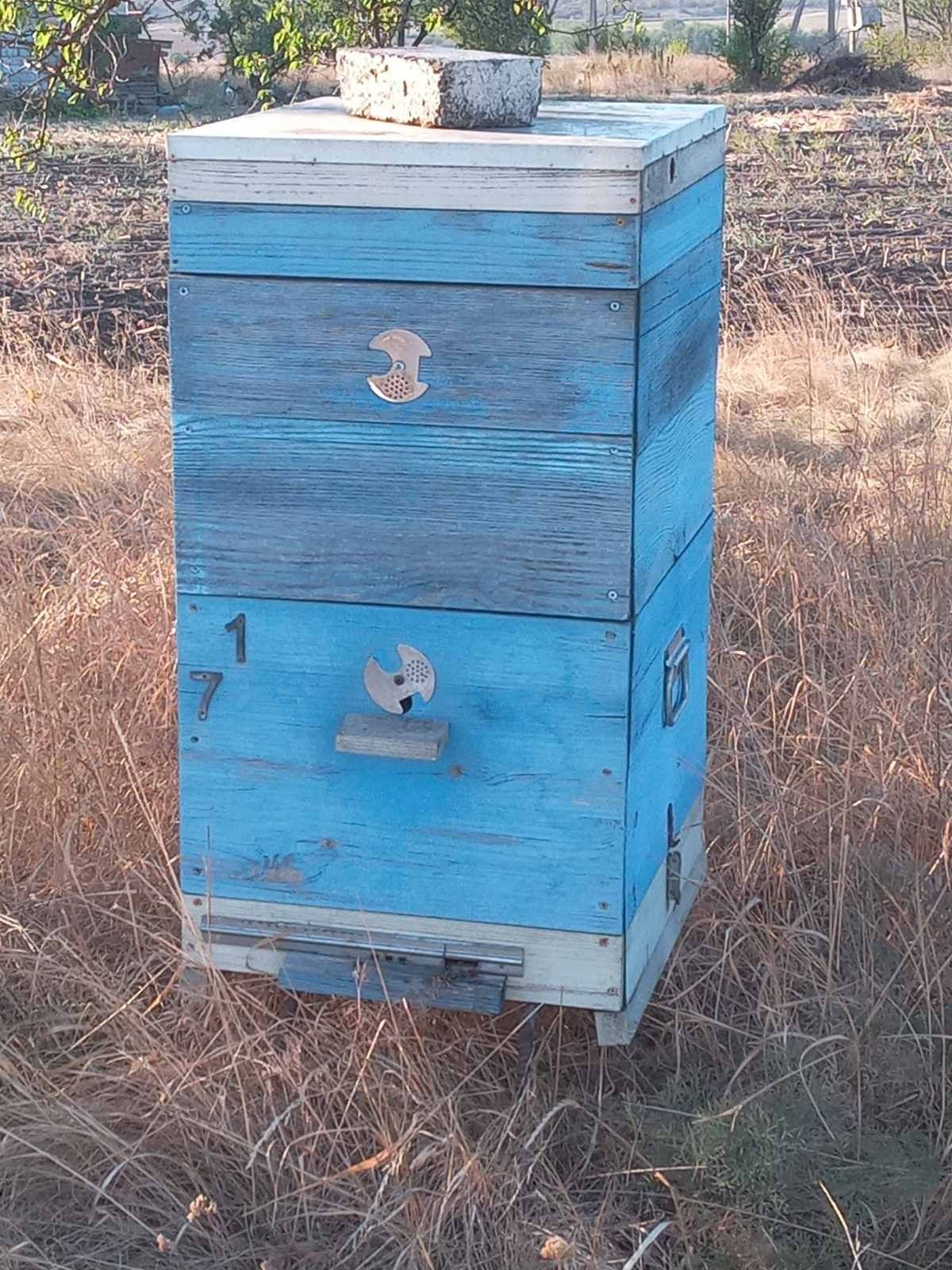 Продам улья 10 рамочные