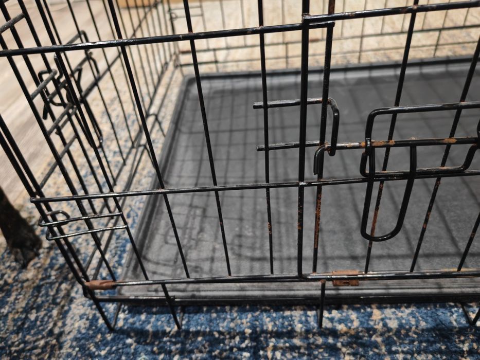 Klatka dla zwierzat