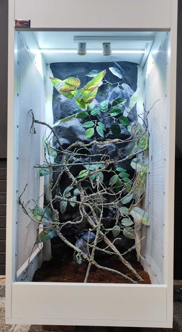 Terrarium nr508 tropikalne dla kameleona 50/50/100 NA ZAMÓWIENIE