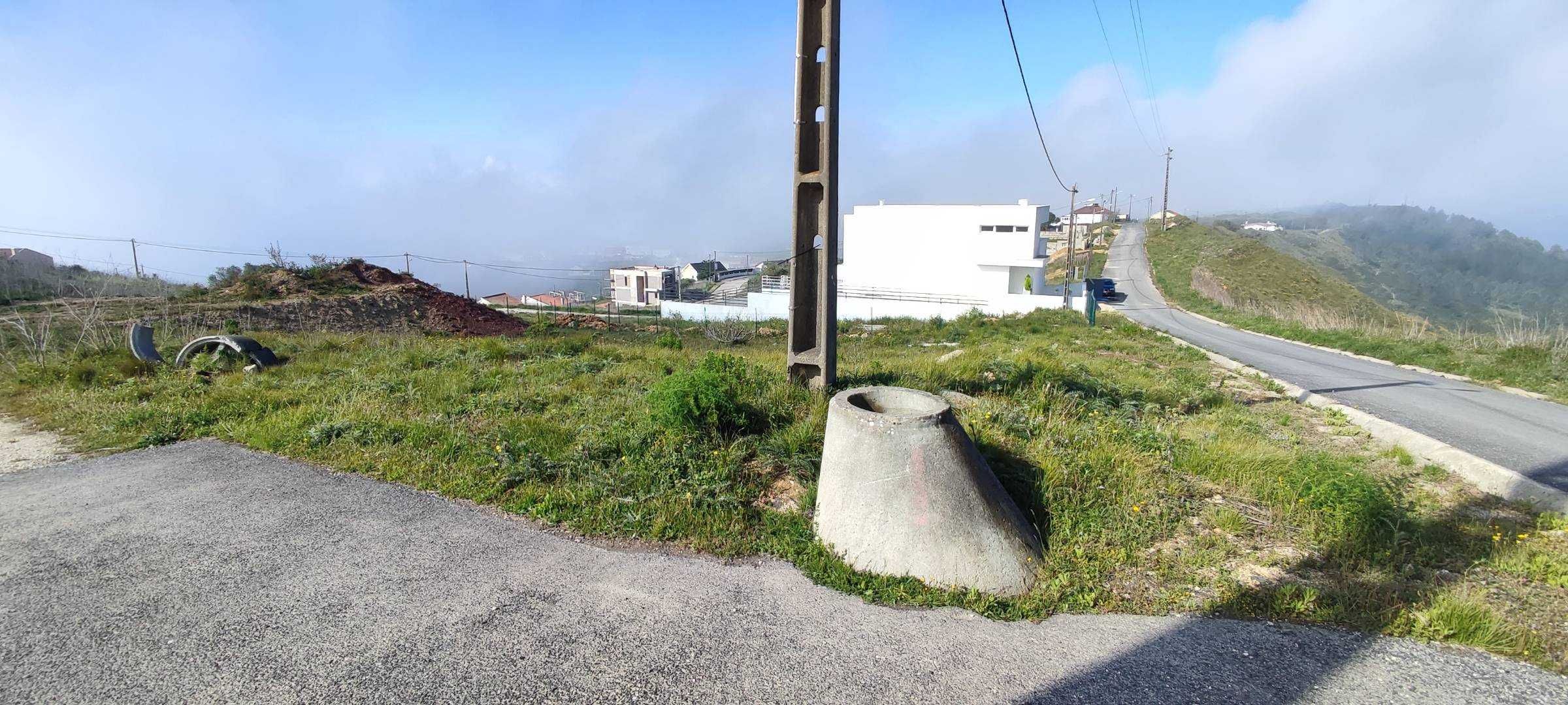 Jardineiros e Manutenções de Espaços Verdes e de Sistemas de Rega