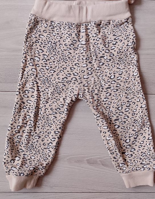 Komplet panterka 68 spodnie i bluza