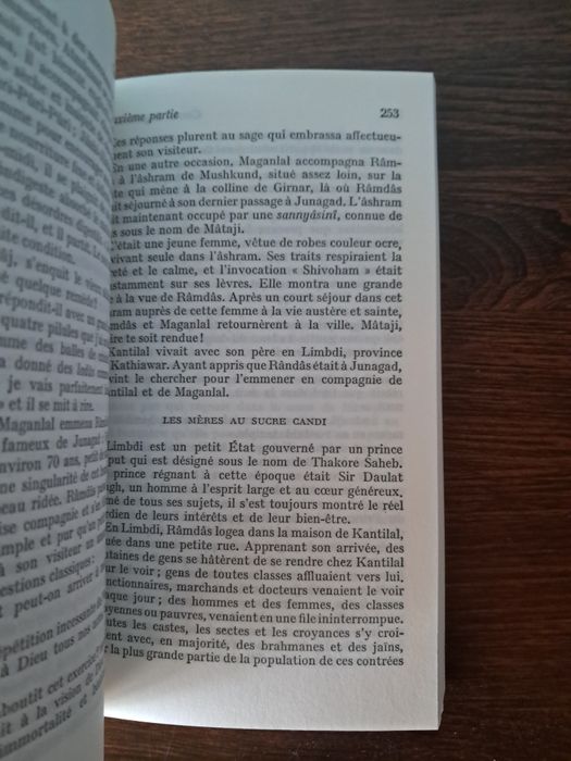 Swâmi Râmdas - Carnet de Pèlerinage