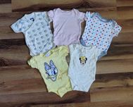 5 x zestaw Body z krotkim rekawem 62 myszka Minnie Disney Baby