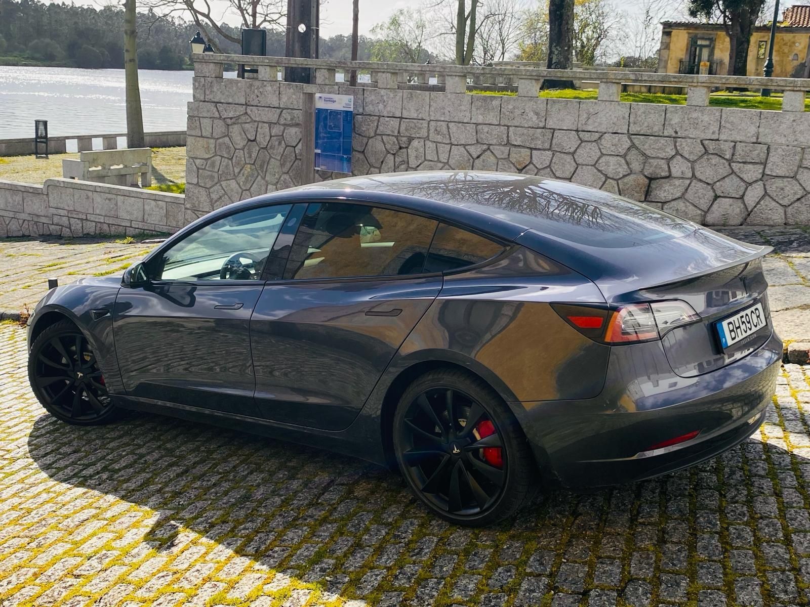 Tesla Model 3 PERFORMANCE