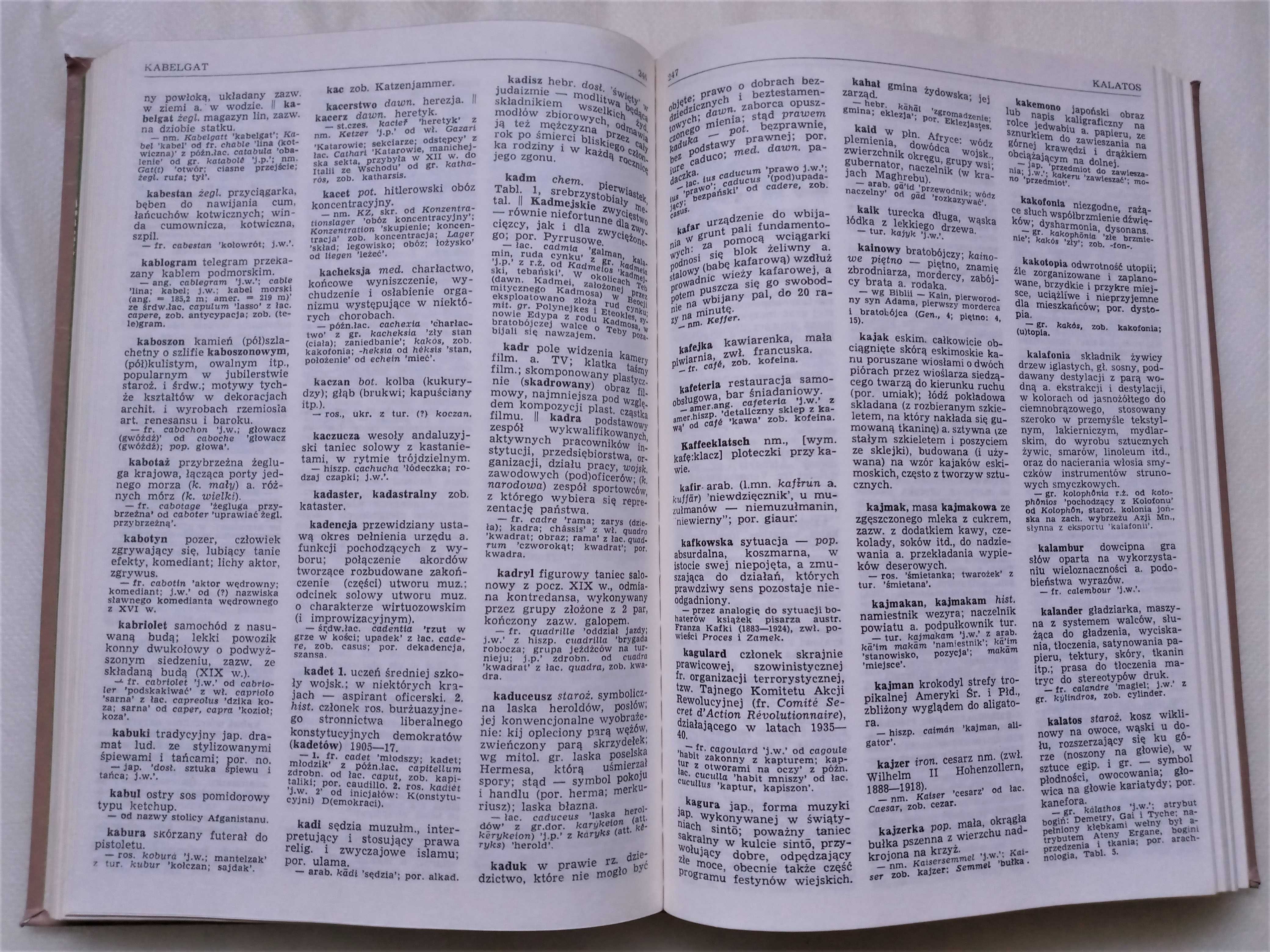 Słownik wyrazów obcych i zwrotów obcojęzycznych W. Kopaliński wyd XVI