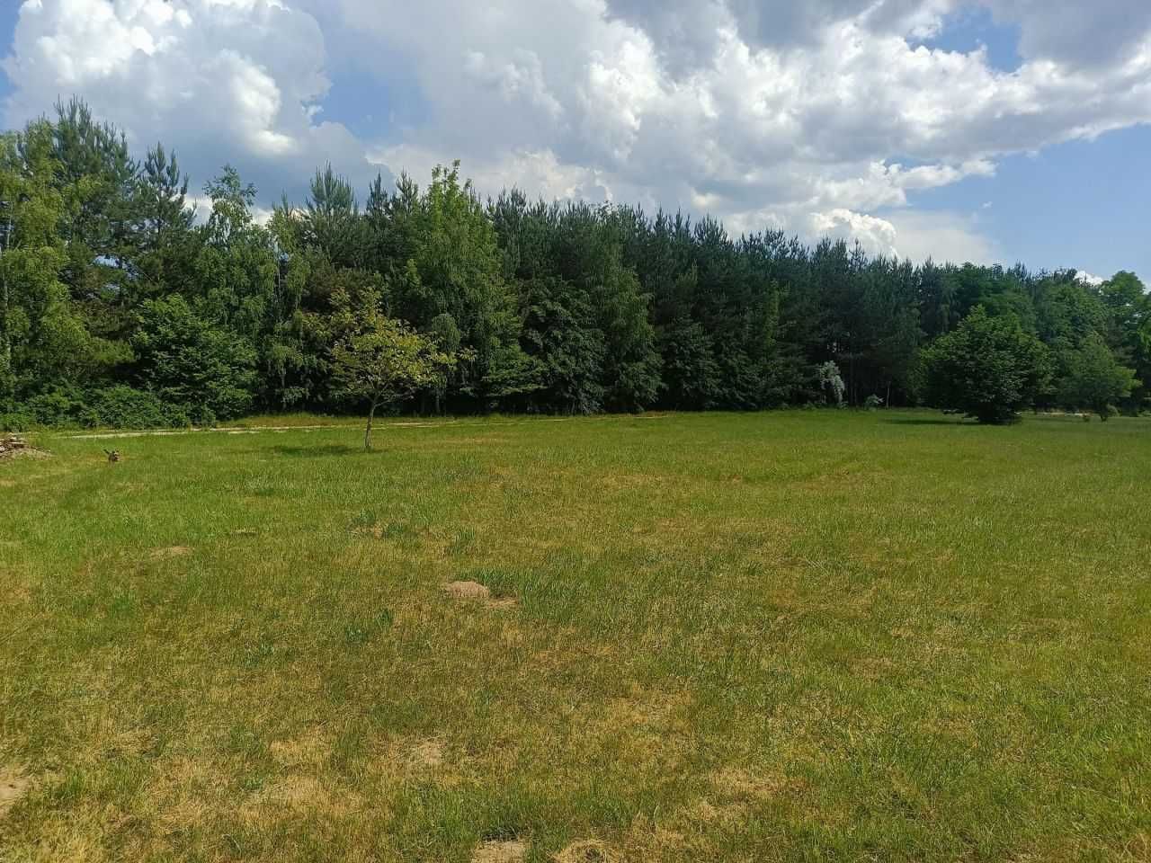 Działka Dąbrówka Wielka z Warunkami Zabudowy 1400m2 ul. Kasztanowa