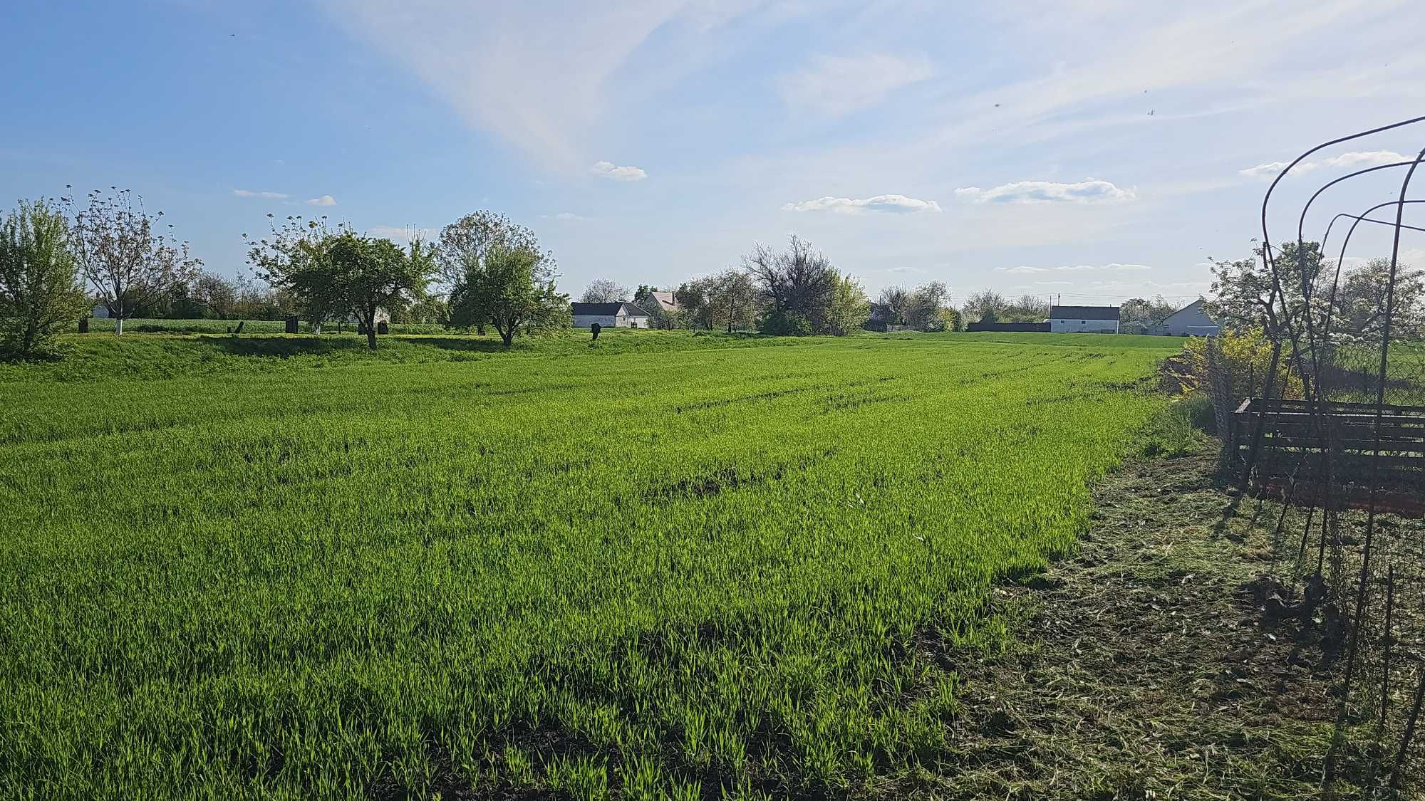 Велике Село Поруч З Великою Річкою Супій – Продається Будинок