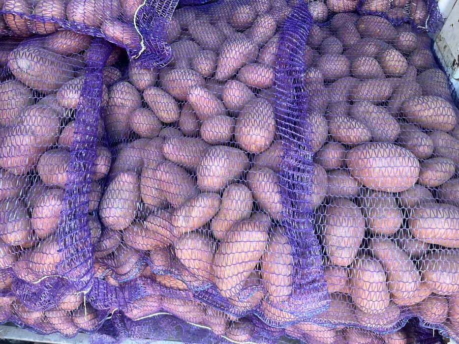 Картошка в Кропивницком с доставкой