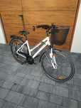 Rower damski Pegasus Piazza I