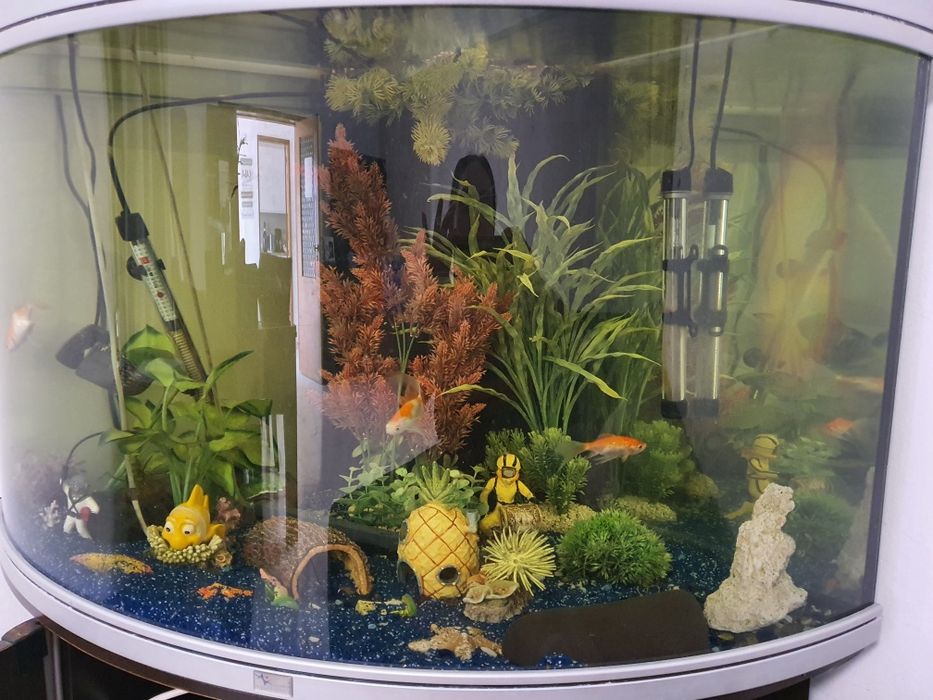 Aquario Aquatlantis 220L completo