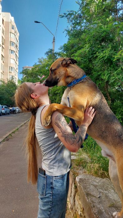 Передержка животных/Перетримка тварин /Готель для тварин /Вигул