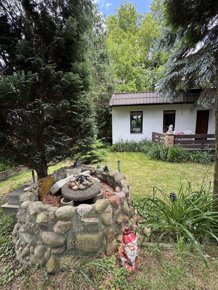 Piękna, całoroczna działka ROD, ok. 400m2, 15 min od Ronda Rataje