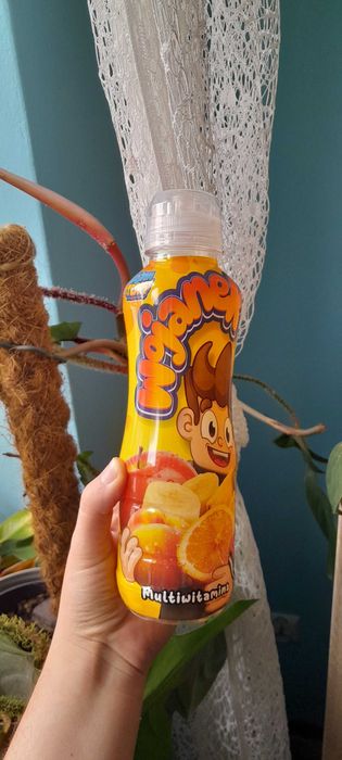 Wojanek butelka po soku