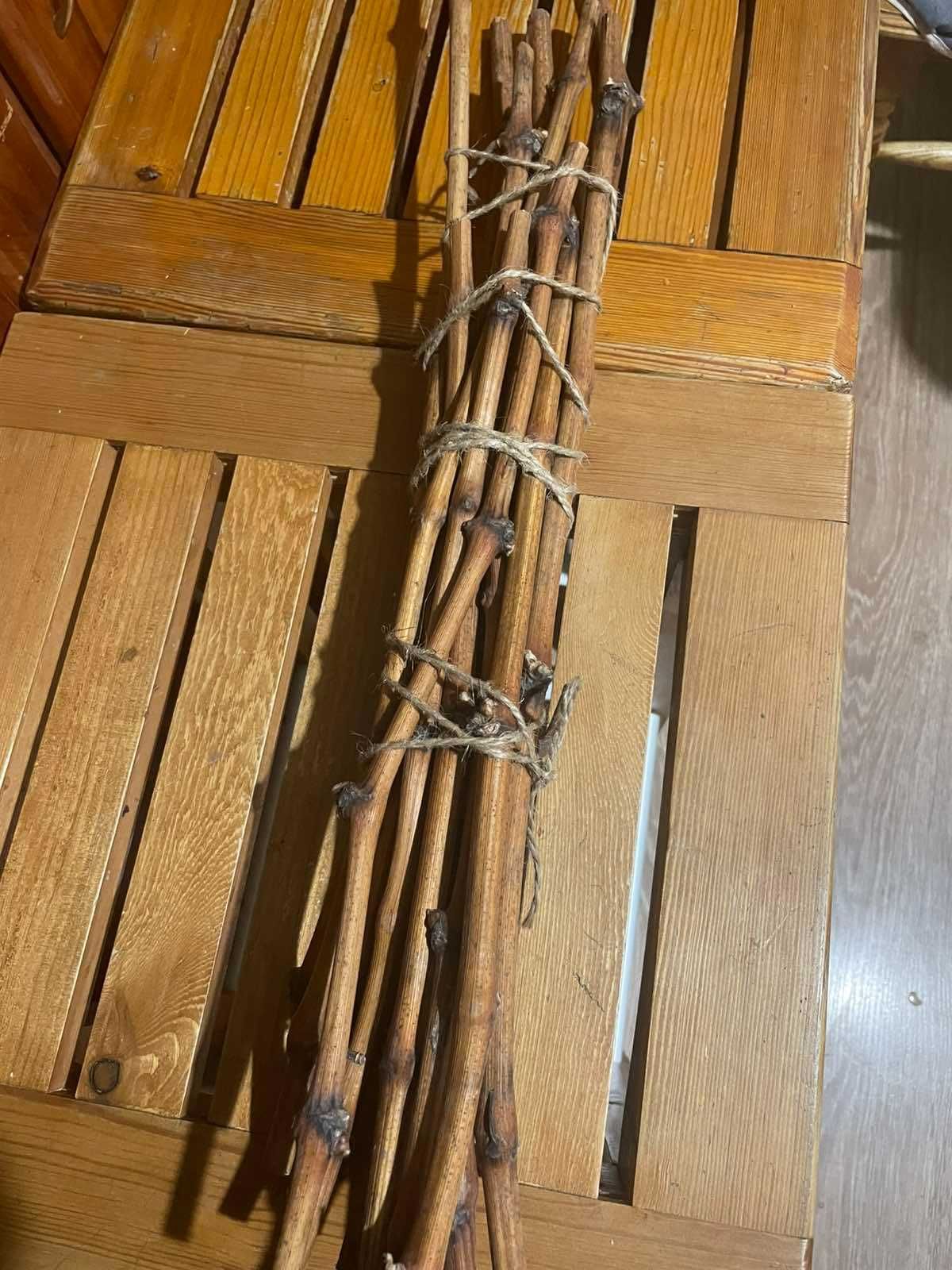 Живці  (чубуки, лоза, живці) винограду.